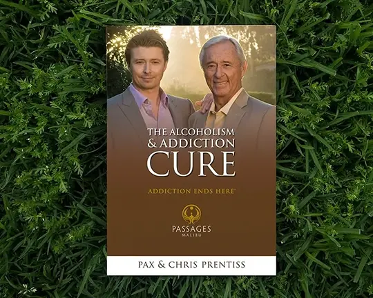 The Alcoholism & Addiction Cure book cover