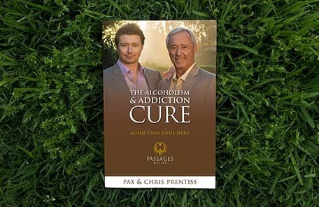 Cover of The Alcoholism & Addiction Cure book