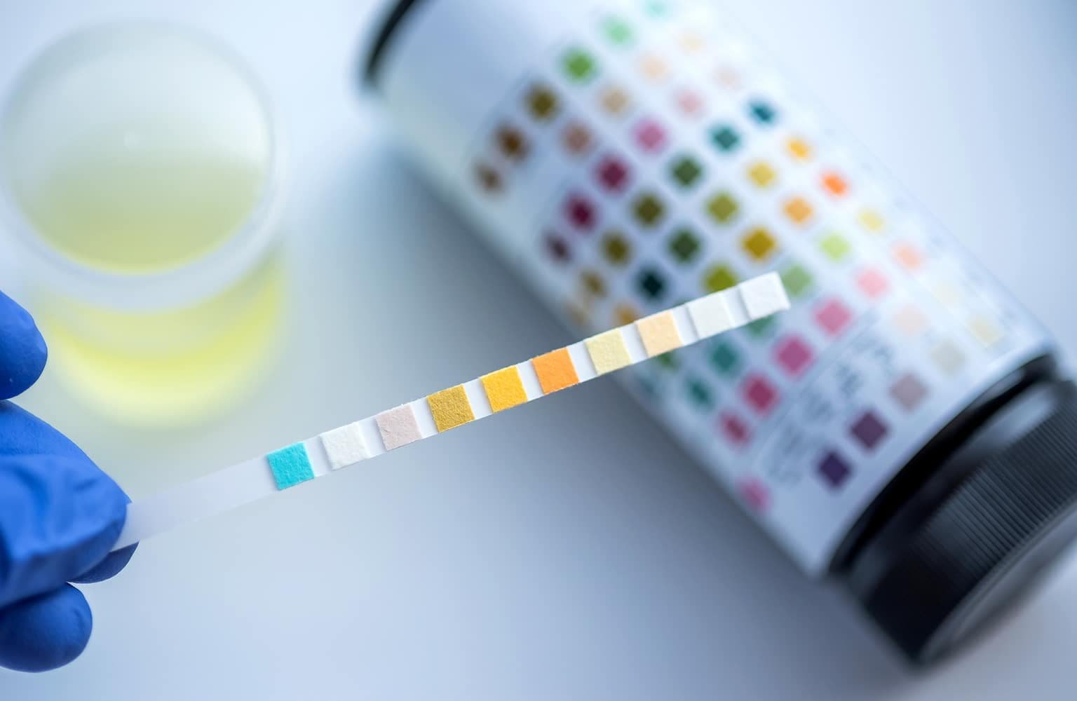 24/7 registered nursing at Passages Malibu photo 2