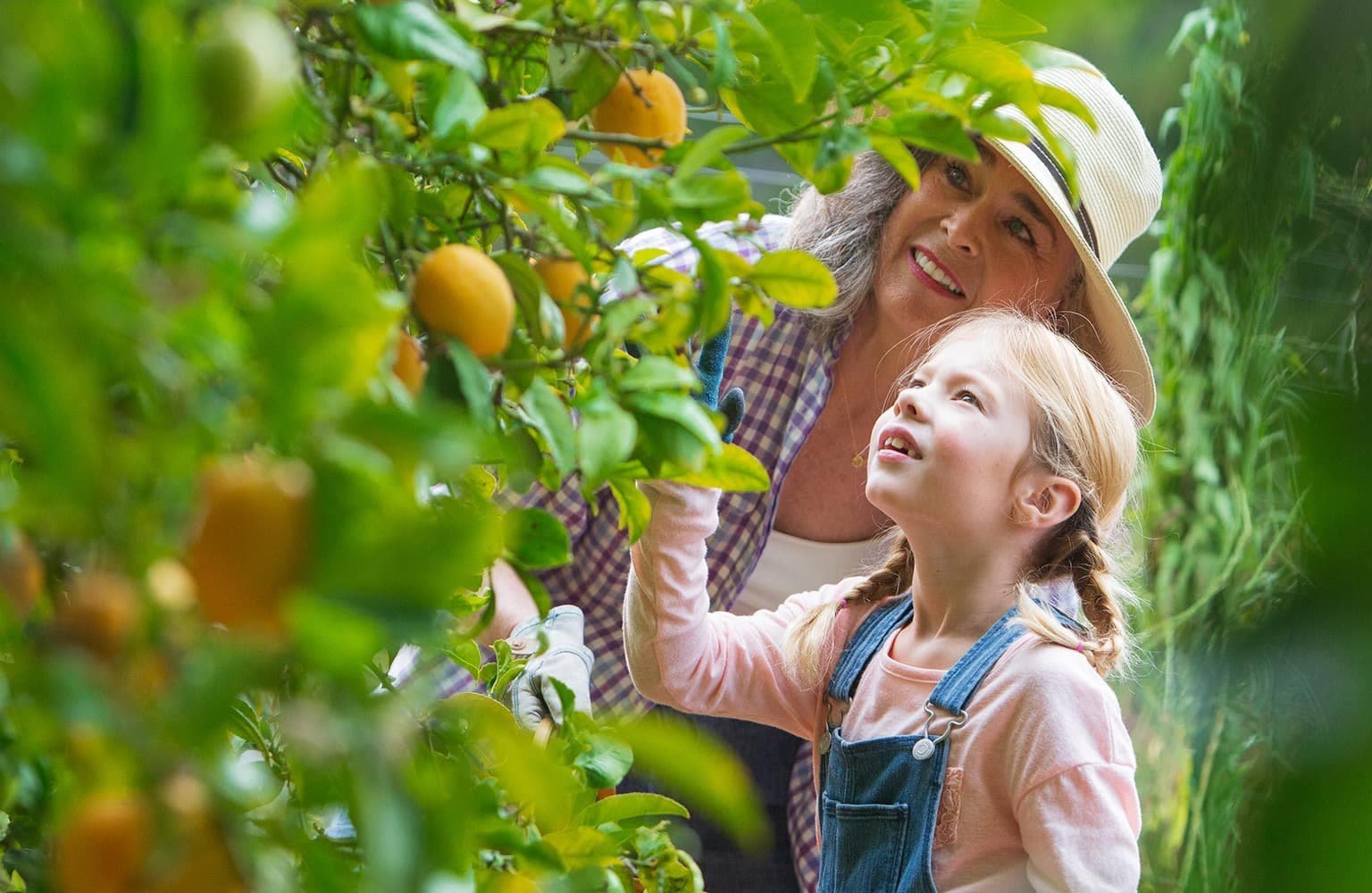 Marriage and family therapy at Passages Malibu photo 4