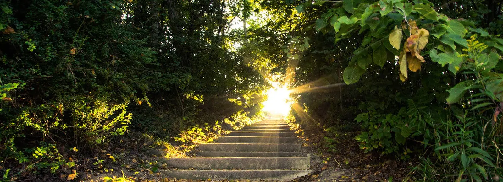 Continuing care at Passages Malibu