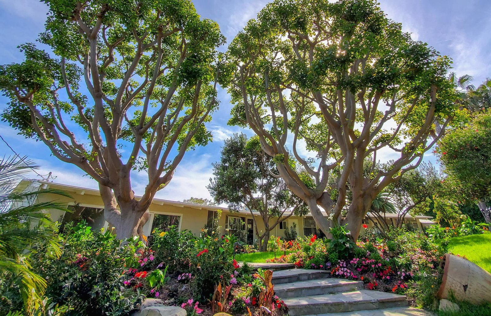 Passages Malibu grounds photo 33