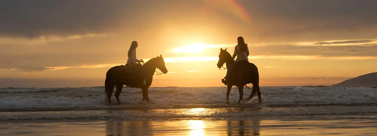 Equine Therapy at Passages Malibu