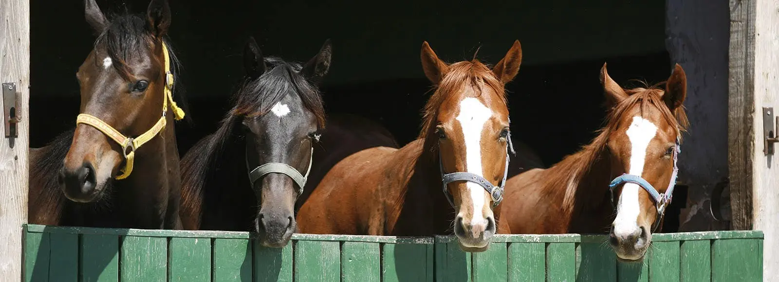Continuing care at Passages Malibu