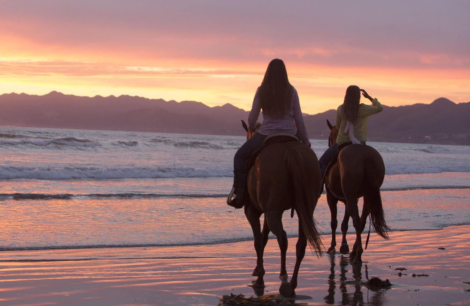 Equine Therapy at Passages Malibu photo 2