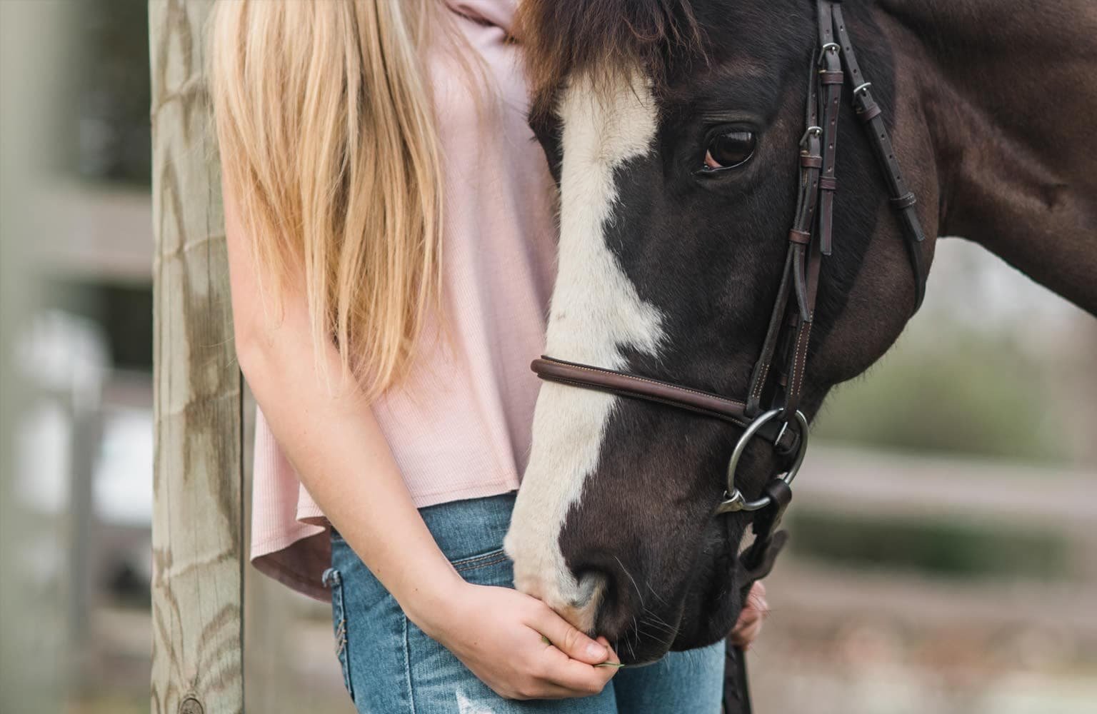 Equine Therapy at Passages Malibu photo 5