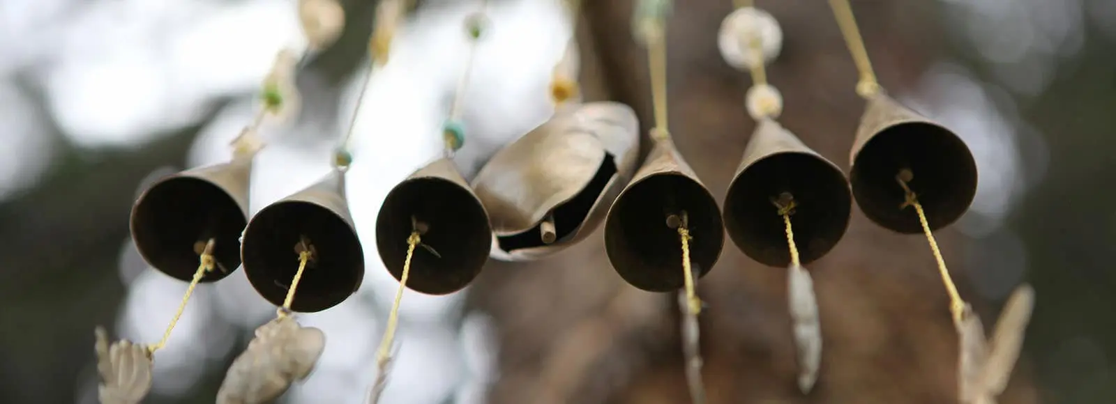 Continuing care at Passages Malibu